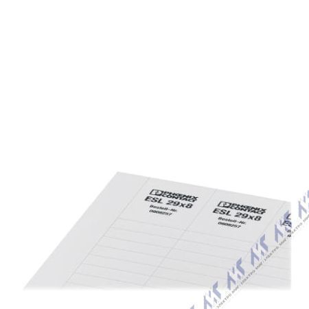 ESL (25X6)