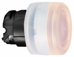 ZB4BW5437
