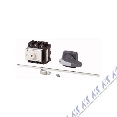 P3-100/M4/HI11/K2-PG