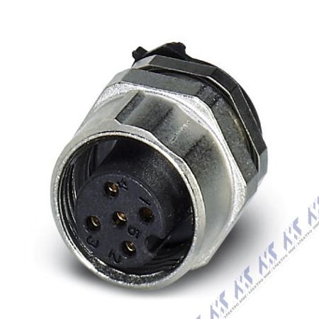 SACC-DSIV-FS-5CON-L180 SCO THR