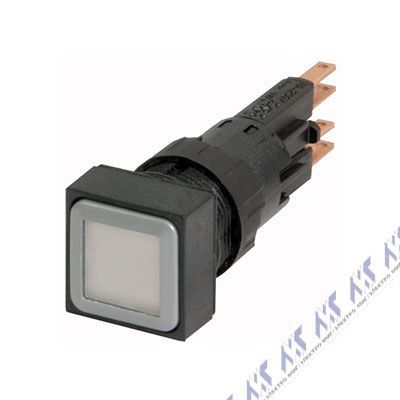 Q18LTR-WS