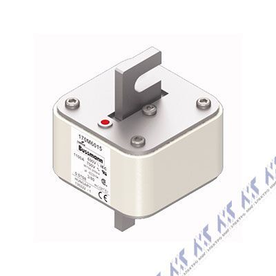 170M6015
