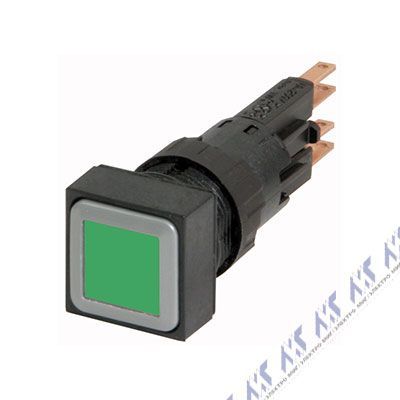 Q25LTR-GN/WB