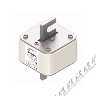 170M6012