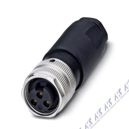 SACC-MINFS-3CON-PG13