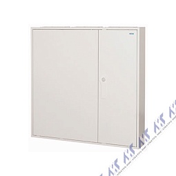 EWK-08081