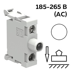 LPXLPBM8