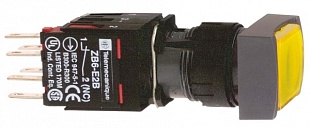XB6DW5B5B