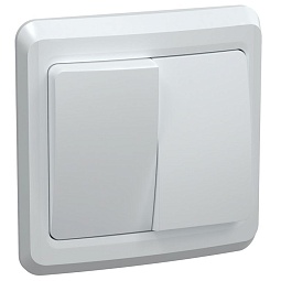 EVV20-K01-10-DM