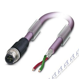 SAC-2P-M12MSB/10,0-910