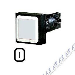 Q25DR-WS