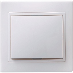 EVK10-K01-10-DM