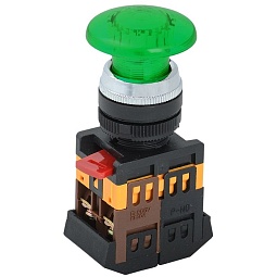 BBG20-AELA-K06