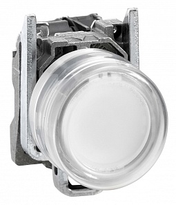 XB4BP183B5EX